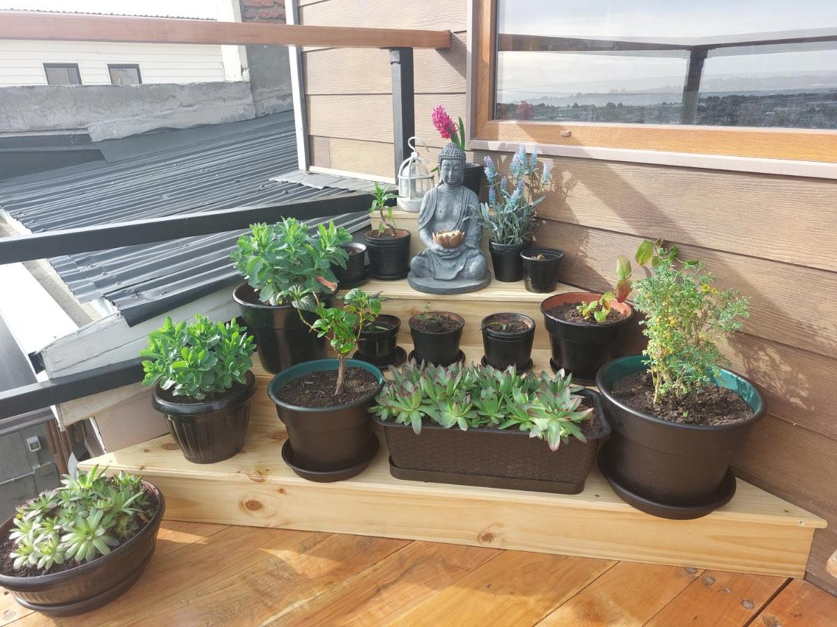 Hostal Buenavista Patagonia Punta Arenas Esterno foto