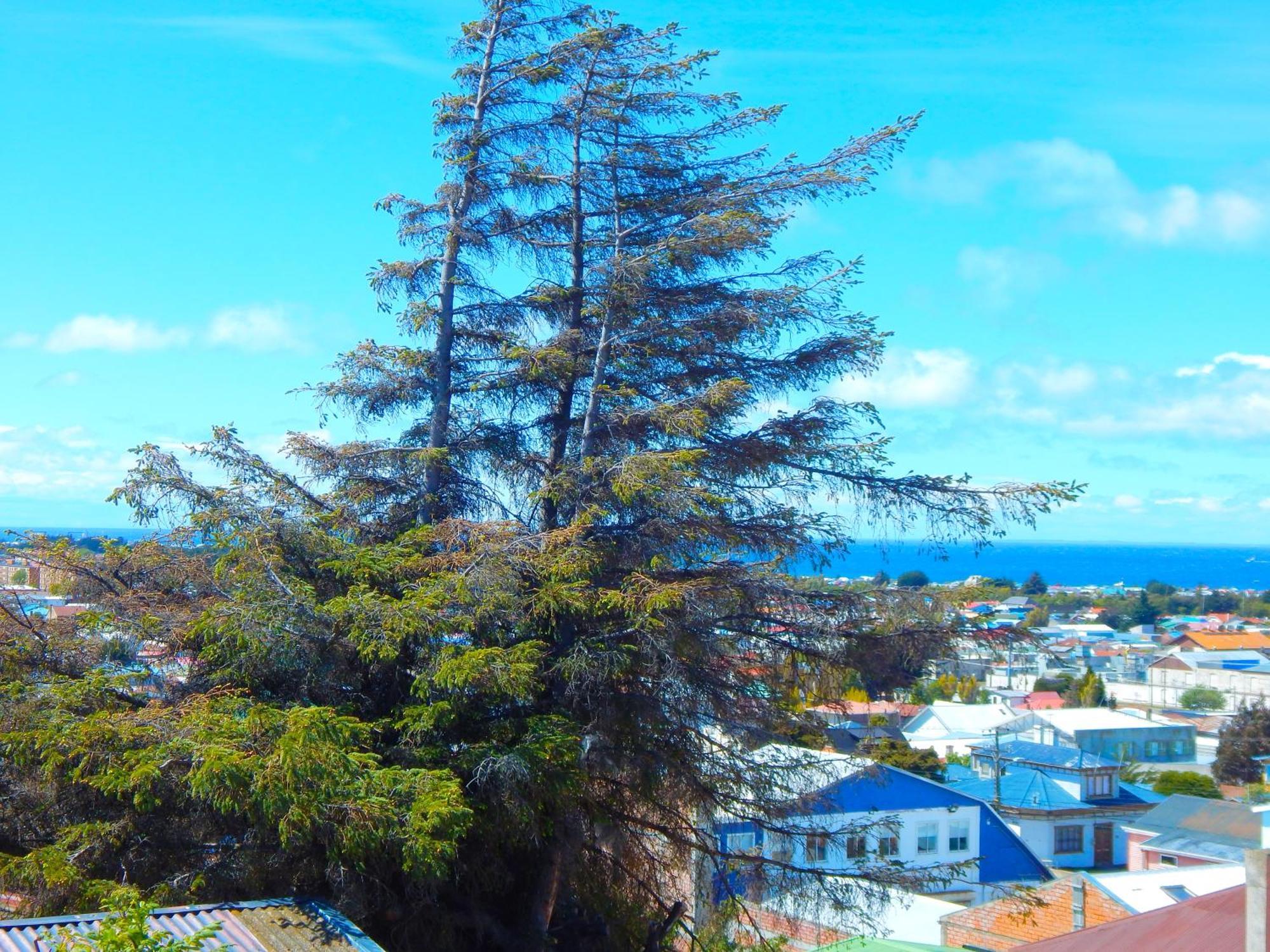 Hostal Buenavista Patagonia Punta Arenas Esterno foto